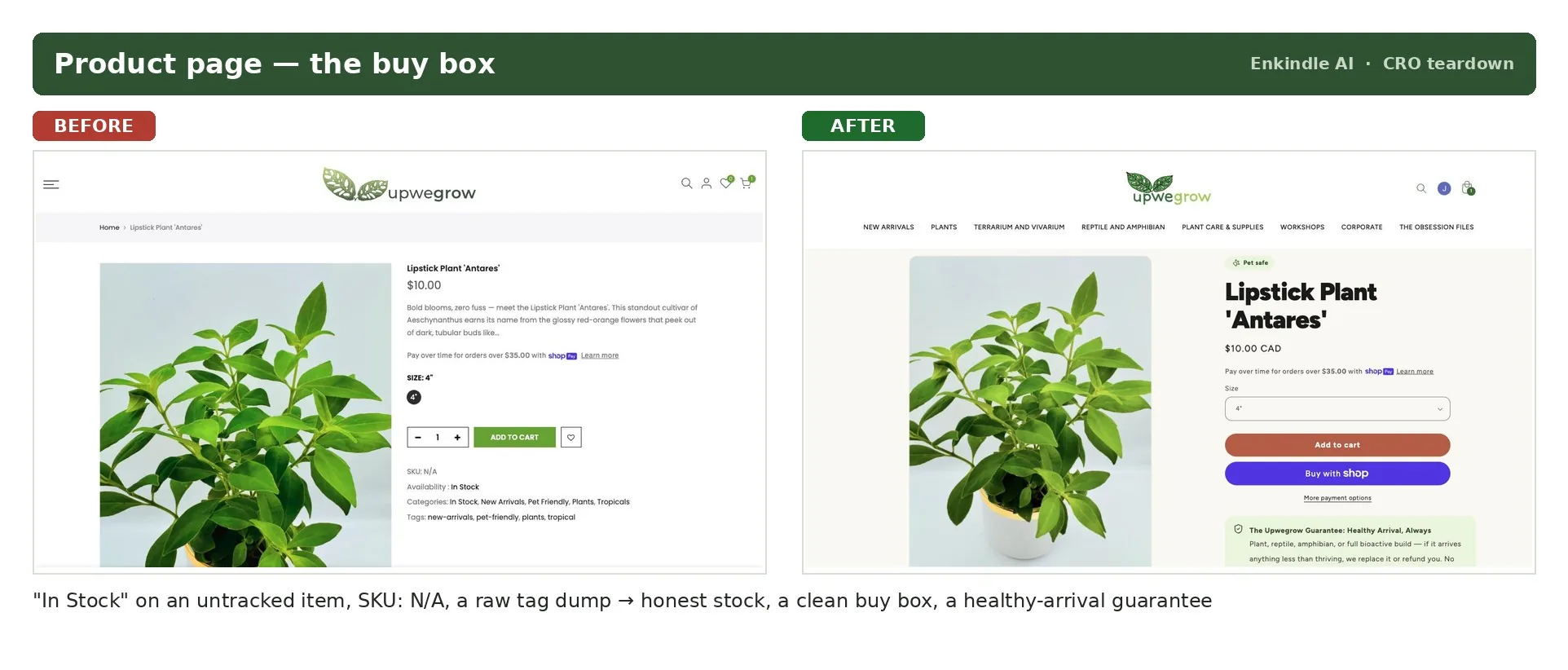 Product page buy box before and after: 'Availability: In Stock' on an untracked item with 'SKU: N/A' and a raw category and tag dump on the left, a clean buy box with a healthy-arrival guarantee under Add to Cart on the right.